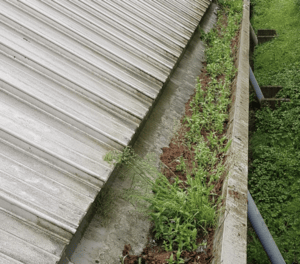 Happy customers in Buckingham who trust The Roof Moss Cleaners for gutter cleaning services