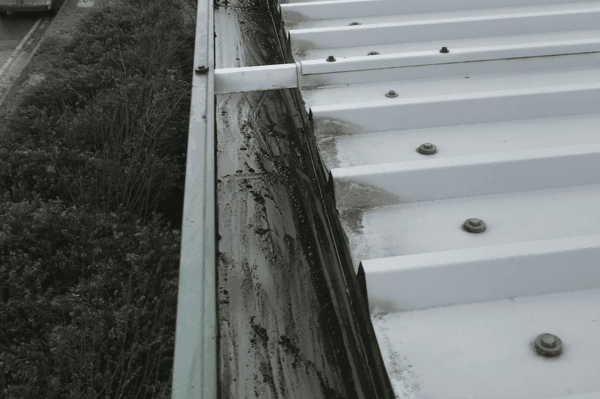 Commercial gutter cleaning specialists in Buckingham
